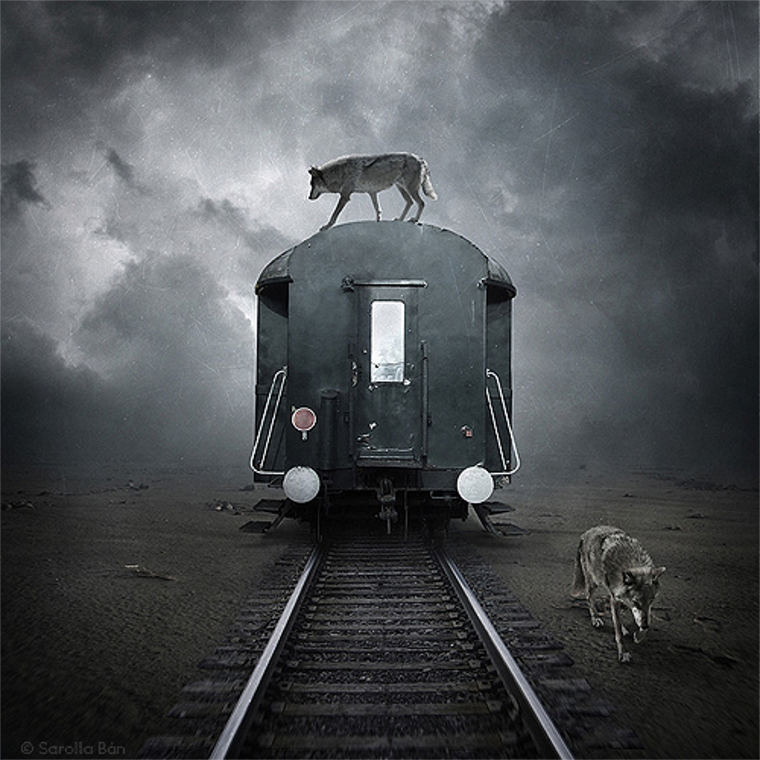 Вагон уходящего поезда. Поезд сюрреализм. Уходящий поезд. Туман сюрреализм. Страшный поезд.